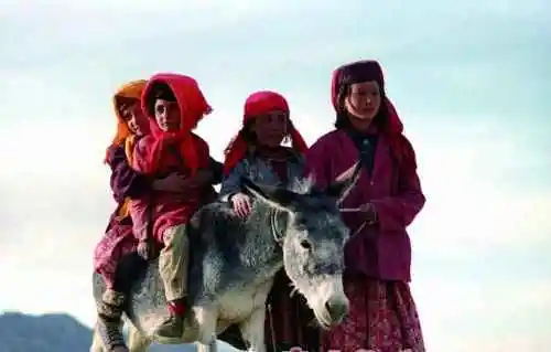 七月盛阳下新疆最美的风景南疆