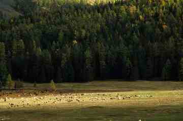 白哈巴西边的太阳落山岗,图二