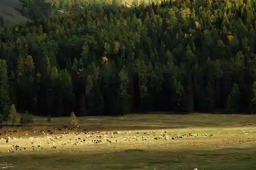 白哈巴西边的太阳落山岗