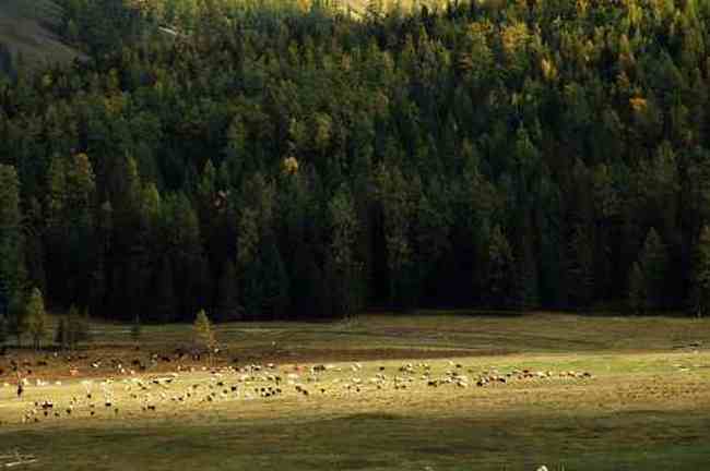 白哈巴西边的太阳落山岗,图二