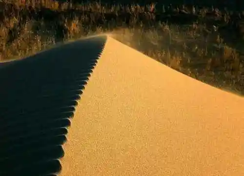 无边南疆大漠游