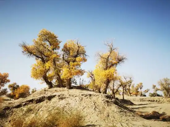 南疆大环游 库尔勒到乌鲁木齐