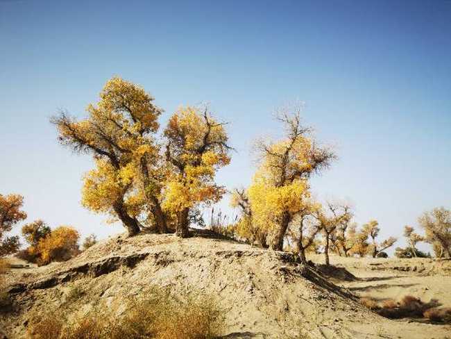 南疆大环游 库尔勒到乌鲁木齐