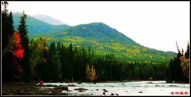 冒雨探访神秘怪异湖——喀纳斯湖（上）,图五