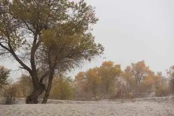 新疆南疆六日游续(六）,图三