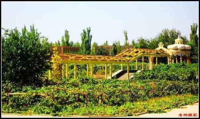 苏公塔和郡王府,图四