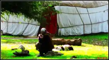 避暑胜地的牧民部落厍尔德宁,图二