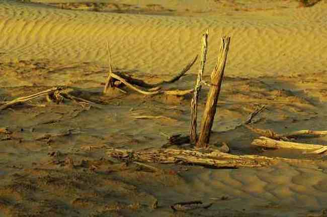 我們站在火焰山前,圖二十一