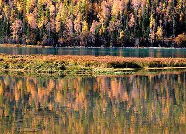 喀纳斯最美的风景线,图十八