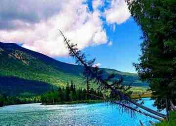 最想回忆的喀纳斯-红叶飘飞的日子,图二十