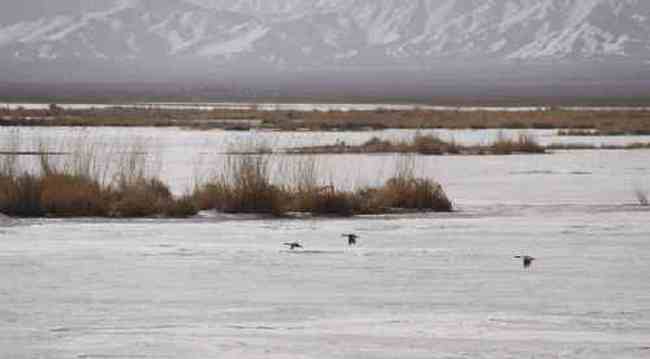 新疆自驾之旅四,图