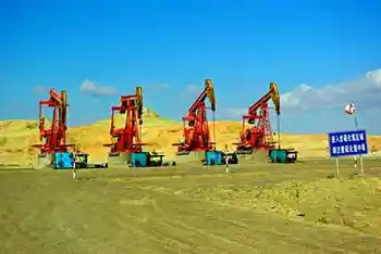 魔鬼城，磕头机和石河子,图四