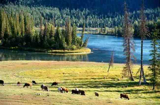 喀纳斯之神仙湾,图九