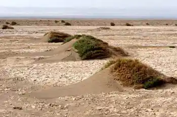 消失的中國(guó)最低地－艾丁湖,圖九