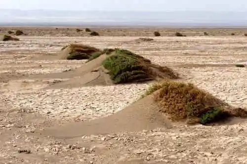消失的中国最低地－艾丁湖