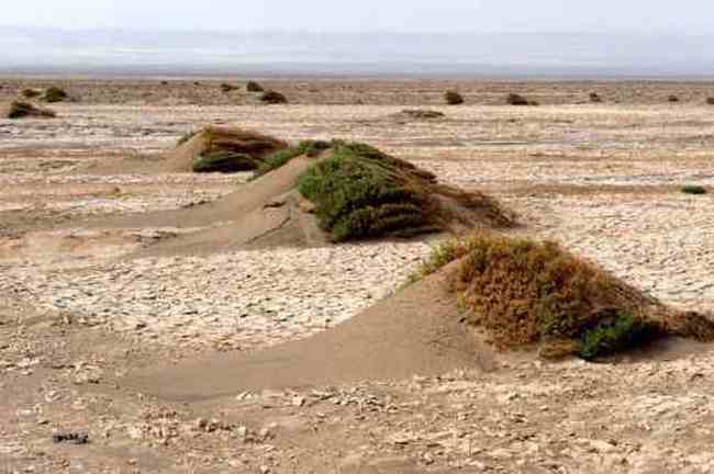 消失的中国最低地-艾丁湖,图九