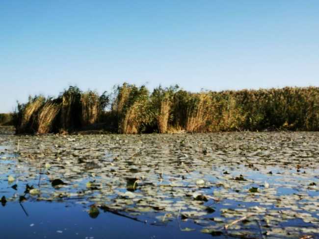 深秋看胡杨慢游库尔勒火车两日三天之莲花湖