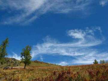喀纳斯湖怪,图十一