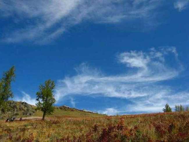 喀纳斯湖怪,图十一