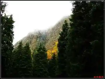 天然牧场南山风景区西柏杨沟,图七