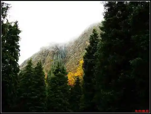 天然牧场南山风景区西柏杨沟