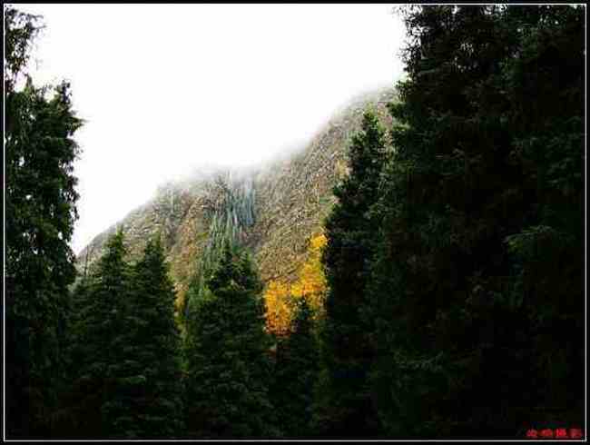 天然牧场南山风景区西柏杨沟,图七