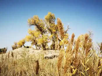 南疆大环游 库尔勒到乌鲁木齐