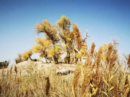 南疆大环游 库尔勒到乌鲁木齐