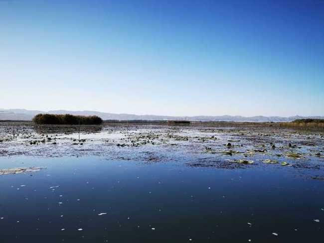 深秋看胡杨慢游库尔勒火车两日三天之莲花湖
