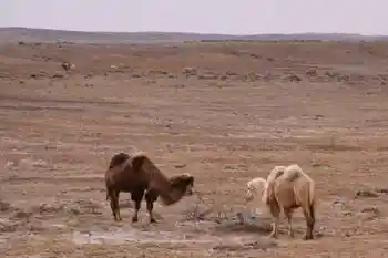 新疆自驾之旅三,图十二