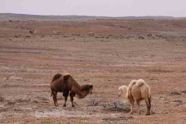 新疆自驾之旅三,图十二
