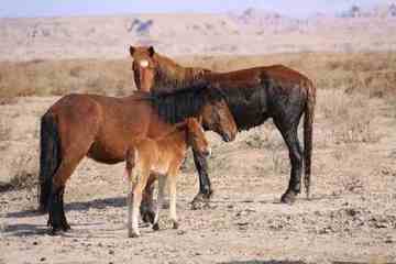 新疆自驾之旅1,图二十三