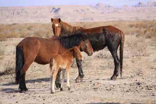新疆自驾之旅1,图二十三
