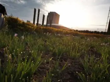 感天地始交 看万物并秀 美丽乌鲁木齐市一瞥