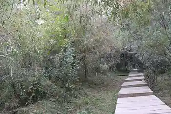 新疆南疆六日游续(六）,图十二