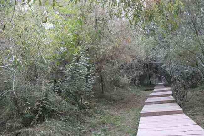 新疆南疆六日游续(六),图十二