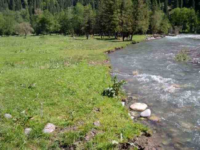 新疆是个旅游的好地方,图九