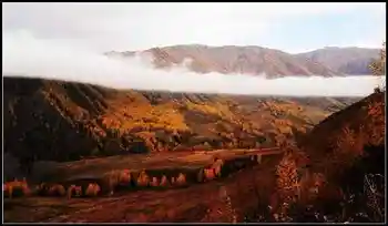 神的自留地--冷暖色的禾木,图二十二