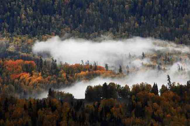 北疆仙境云雾禾木,图五