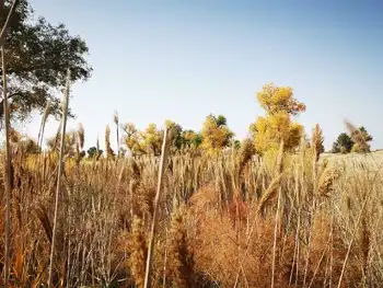 南疆大环游 库尔勒到乌鲁木齐