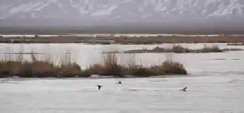 新疆自驾之旅四,图