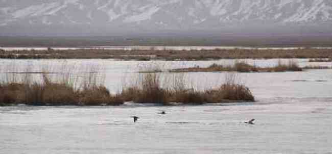 新疆自驾之旅四,图