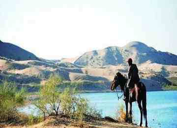 穿越塔克拉玛干 “死亡之海”中感受生命,图五