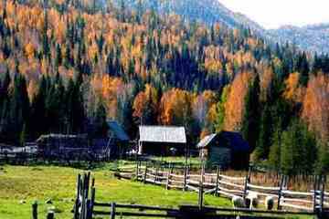 最想回忆的喀纳斯-红叶飘飞的日子,图四