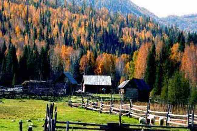 最想回忆的喀纳斯-红叶飘飞的日子,图四