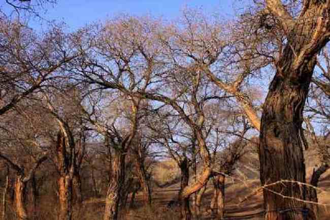 新疆自驾之旅1,图四