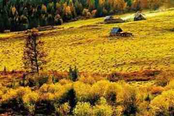 最想回忆的喀纳斯-红叶飘飞的日子,图十二