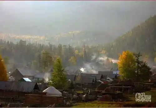 新疆旅游去沙漠看胡杨