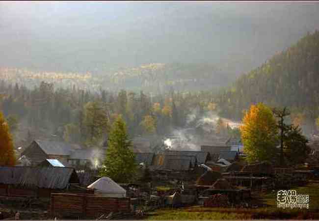 新疆旅游去沙漠看胡杨,图十五