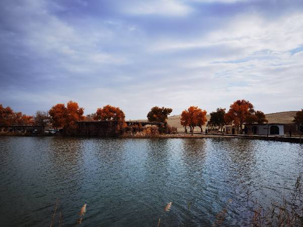 游罗布人村寨第四天